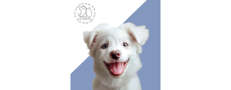 원주시 동물병원