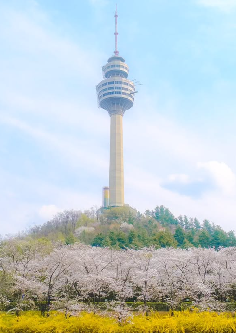 대구 이월드 자유이용권 할인
