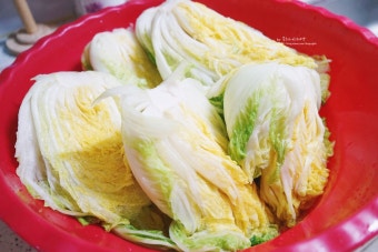 2025년 절임배추 사전예약 꿀팁!