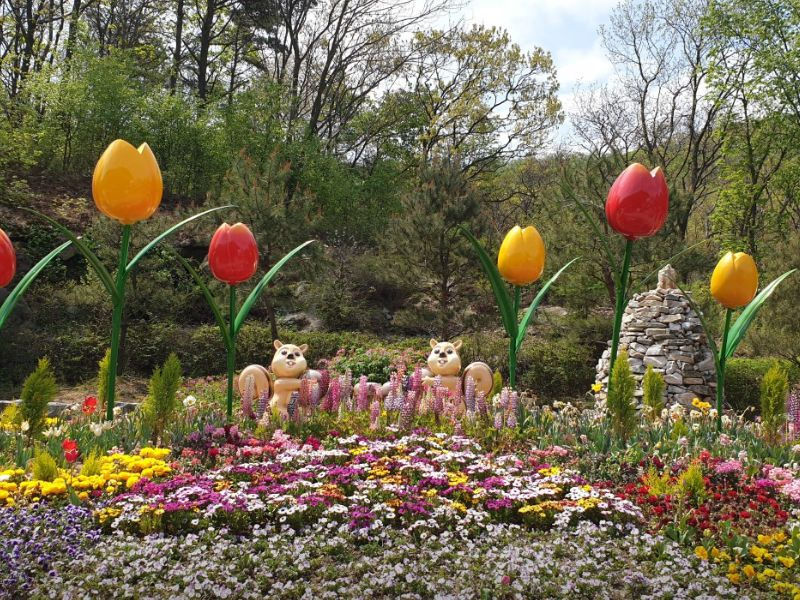 석모도 수목원