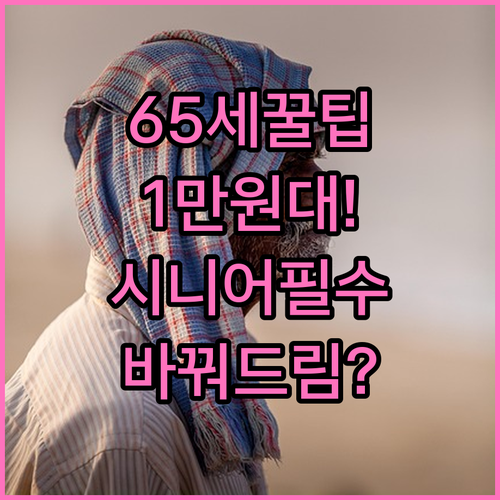 65세 이상 시니어 휴대폰 요금제 월..