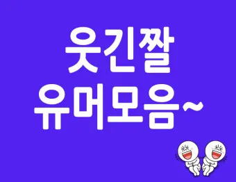 웃기는 유머 재밌는 유머 모음 웃기는 사진 10선_9