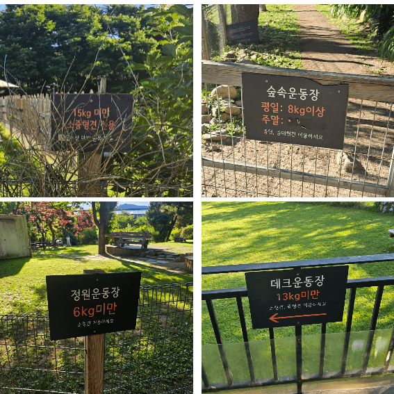 네이처독-애견-운동장