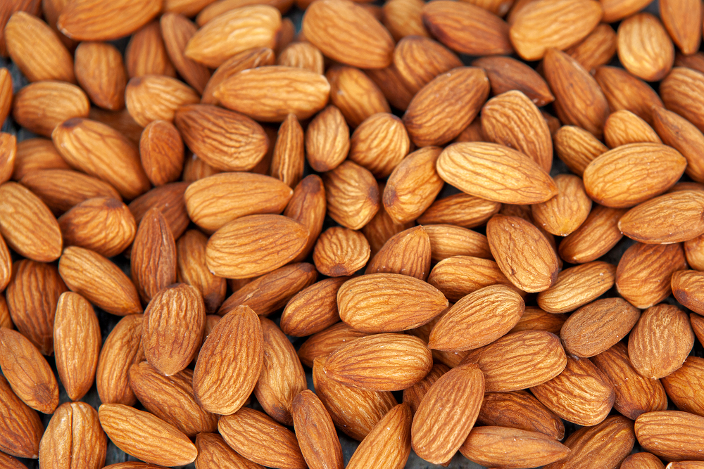 단백질 많은 음식 8가지