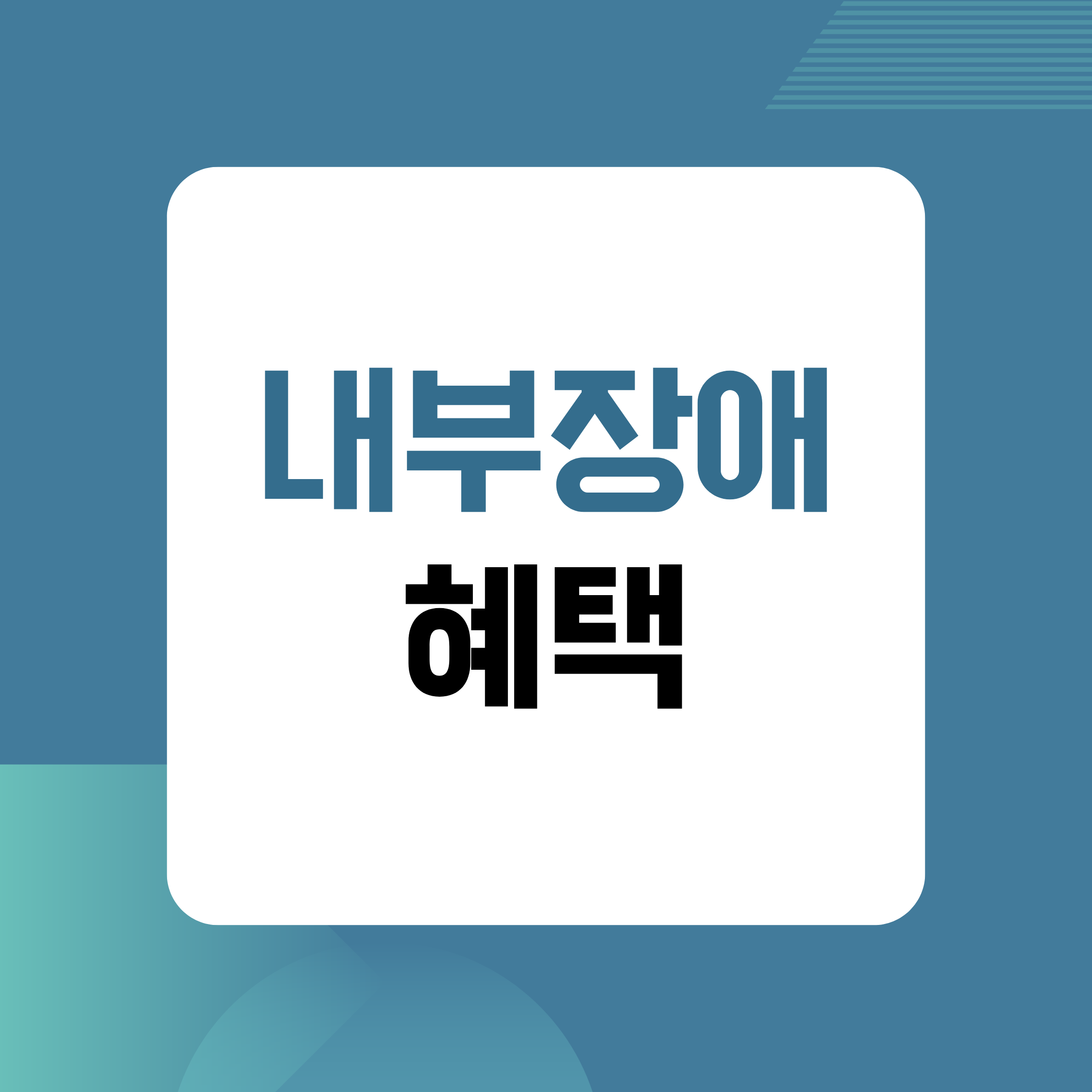 내부장애,내부장애혜택,신장장애지원,심장장애복지,간장애,호흡기장애,장루장애,요루장애,의료비지원,통원치료,보조용품지원,장애인복지,장애인등록,건강보험감면,생활복지,공공요금감면,전기요금할인,통신비할인,의료비부담경감,장애인지원정책,복지정보,복지제도,생활지원,복지꿀팁,장애인생활