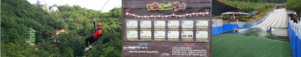 체험 프로그램