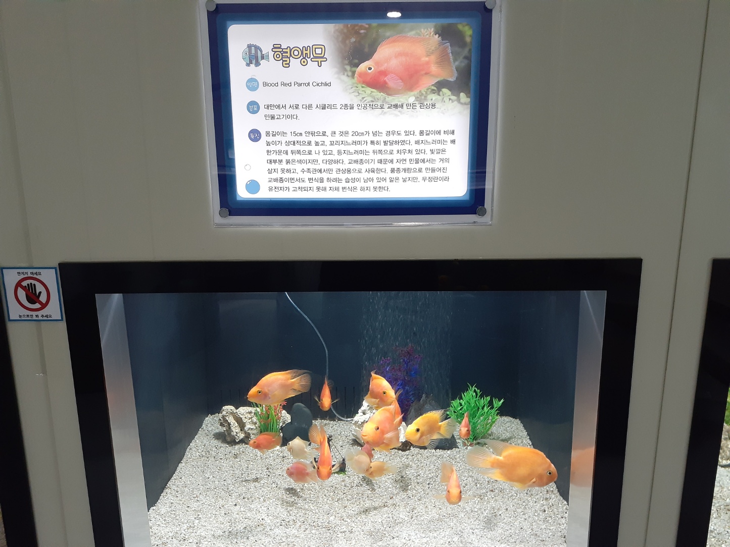 민물고기전시관열대어전시관