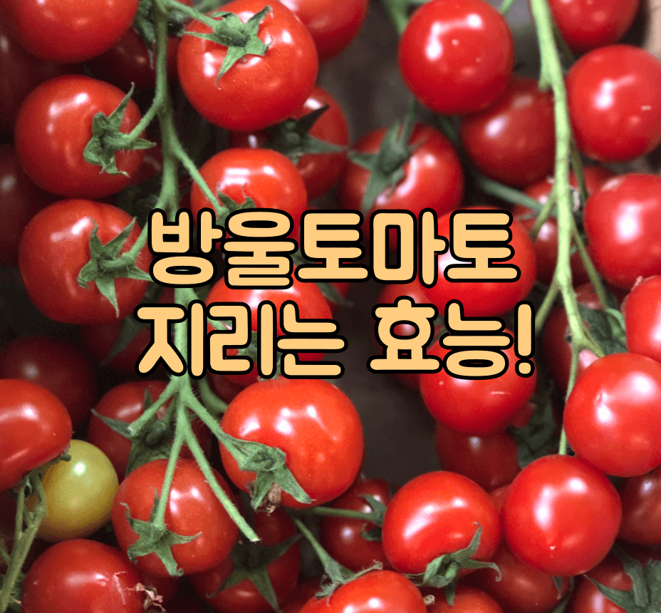 썸네일 입니다