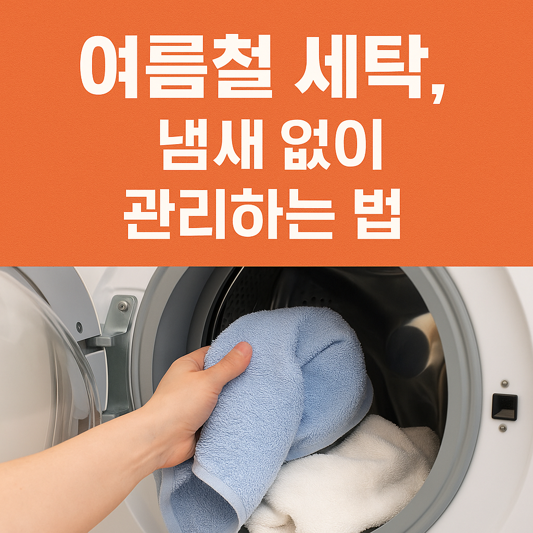 여름철 세탁, 냄새 없이 관리하는 법