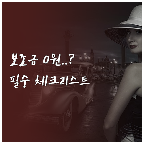 생애 첫 전기차 보조금 신청 가이드라..