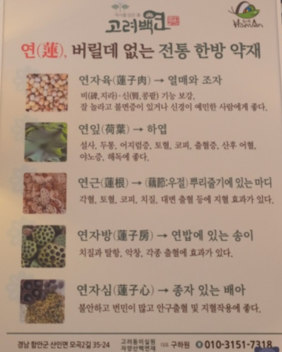6시내고향-함안-연잎밥-자양산백연재-고려백연-재료