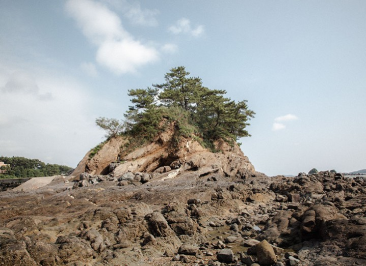 무창포 쭈꾸미 도다리 축제 주변 광광지 닭벼슬섬사진