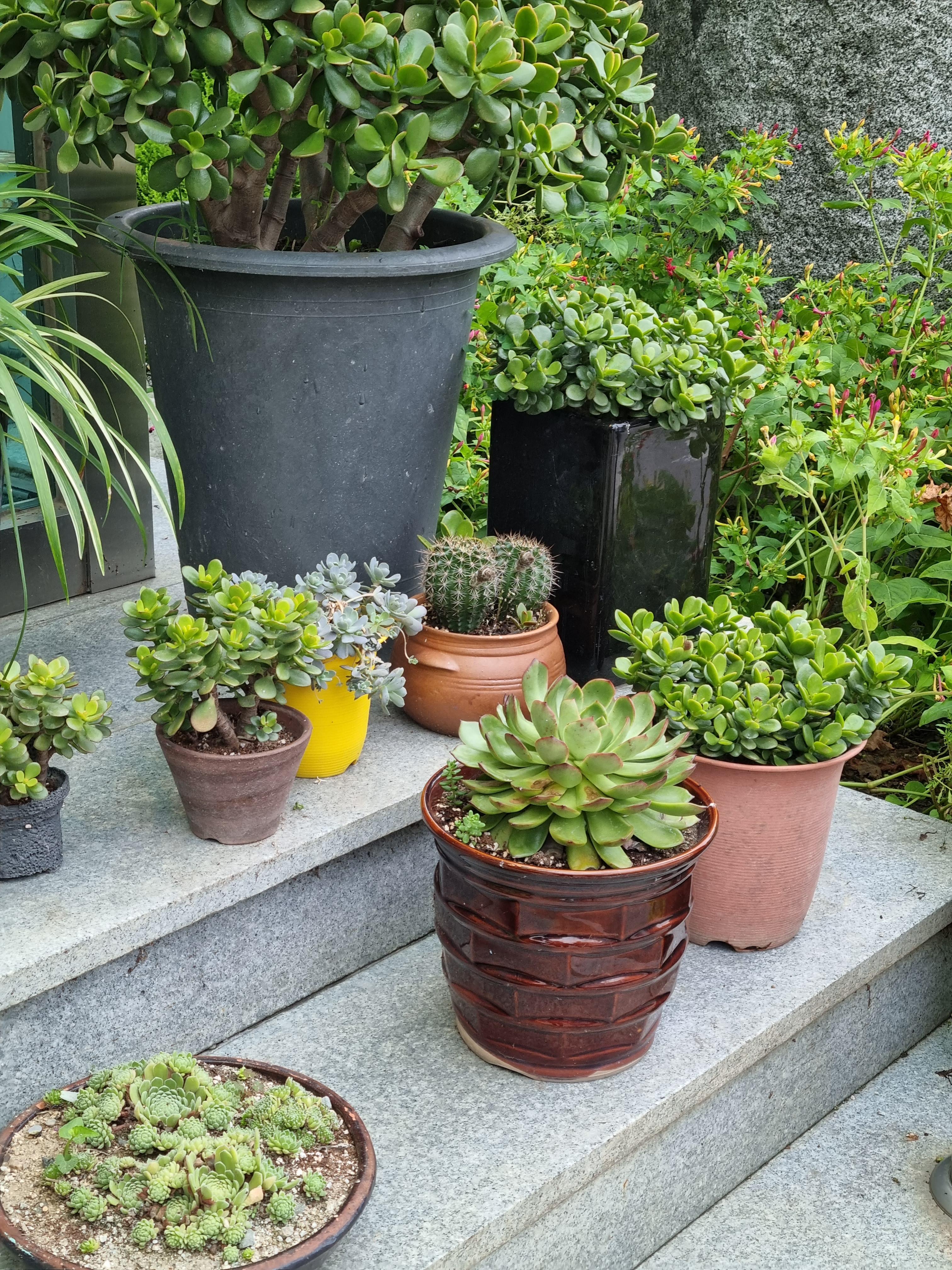 곱창전골명가도계물닭갈비_외부