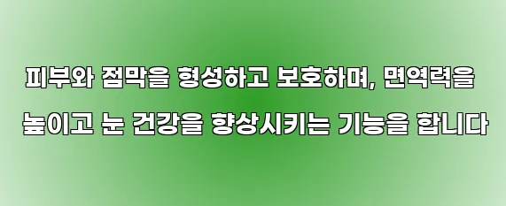  피부와 점막을 형성하고 보호하며, 면역력을 높이고 눈 건강을 향상시키는 기능을 합니다