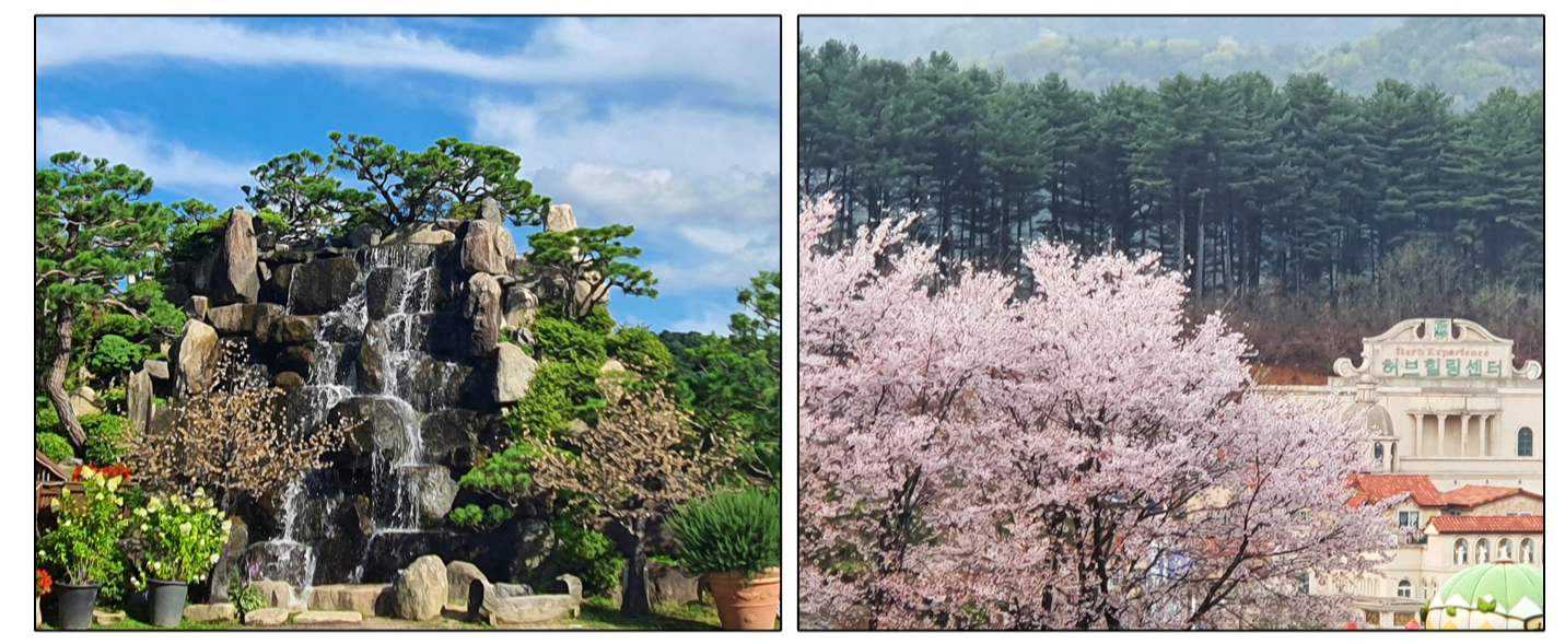 [반려견 동반, 서울 근교 여행지] 포천 허브아일랜드, 반려견과 함께 떠나는 사계절 힐링 여행