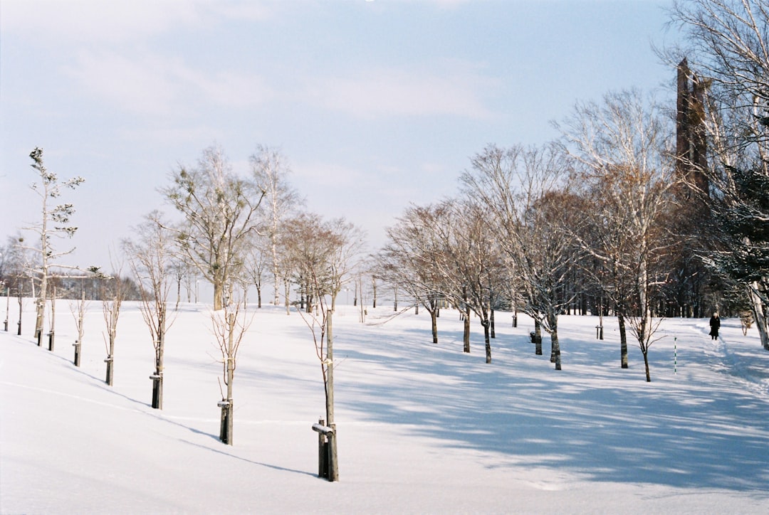 Lidong (the Beginning of Winter)