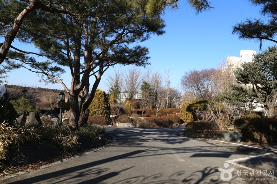 평택 가볼만한곳 베스트 10