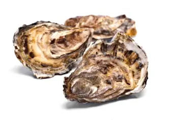 통영굴 가격 및 효능, 영양성분과 주의점