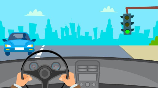 815-특사-확인-방법