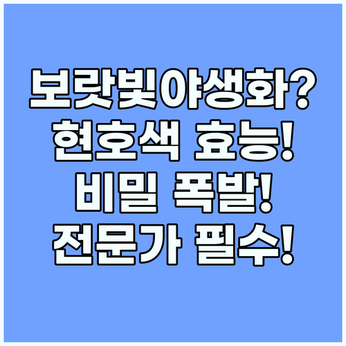 현호색 보랏빛 야생화의 숨겨진 효능과..