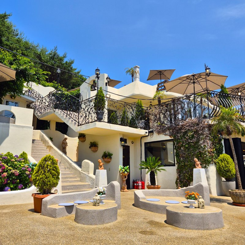 Cafe Panorama, 카페 전경