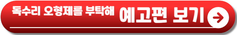 독수리 오형제를 부탁해 등장인물