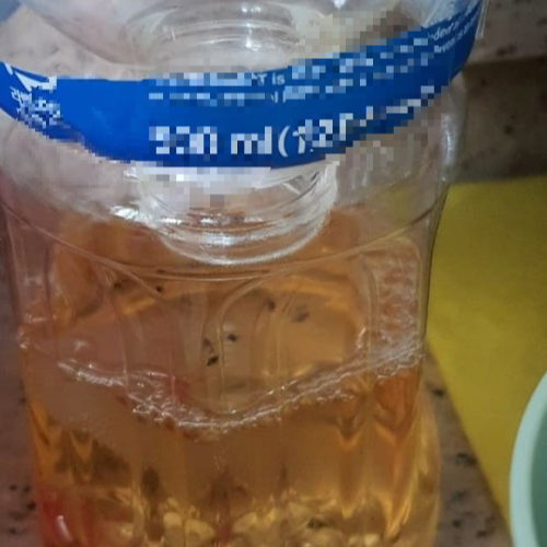 초파리 없애는 법 크랩