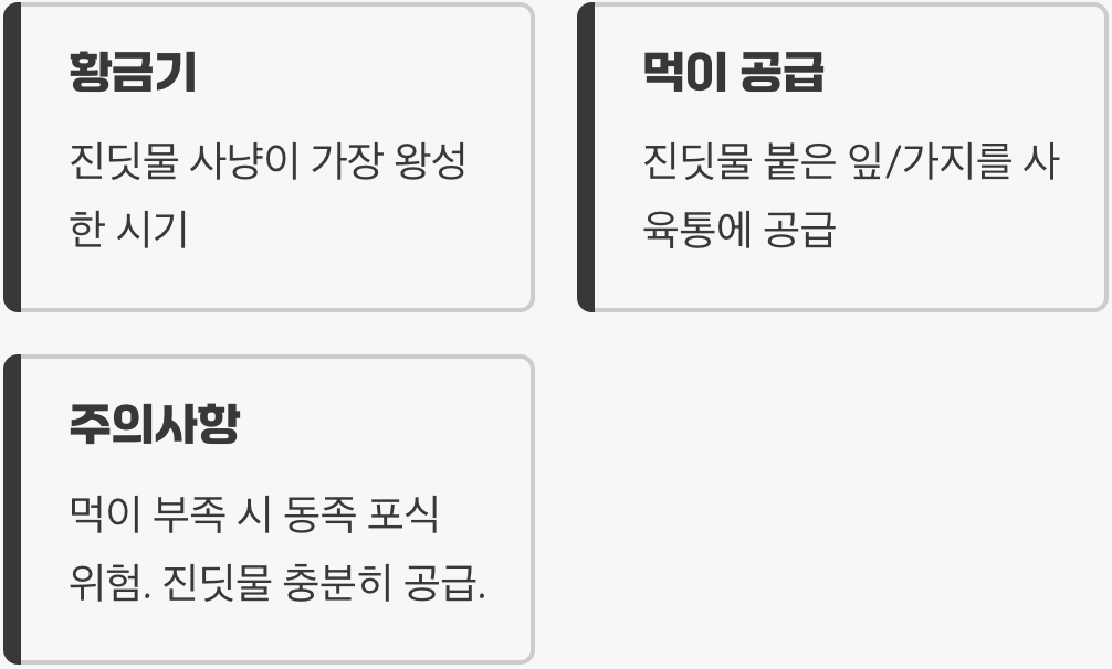 최고의 사냥꾼, 애벌레 시기