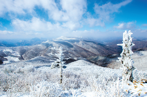 태백산 [사진제공: 소년한국일보]