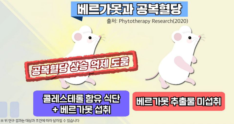 베르가못 효능