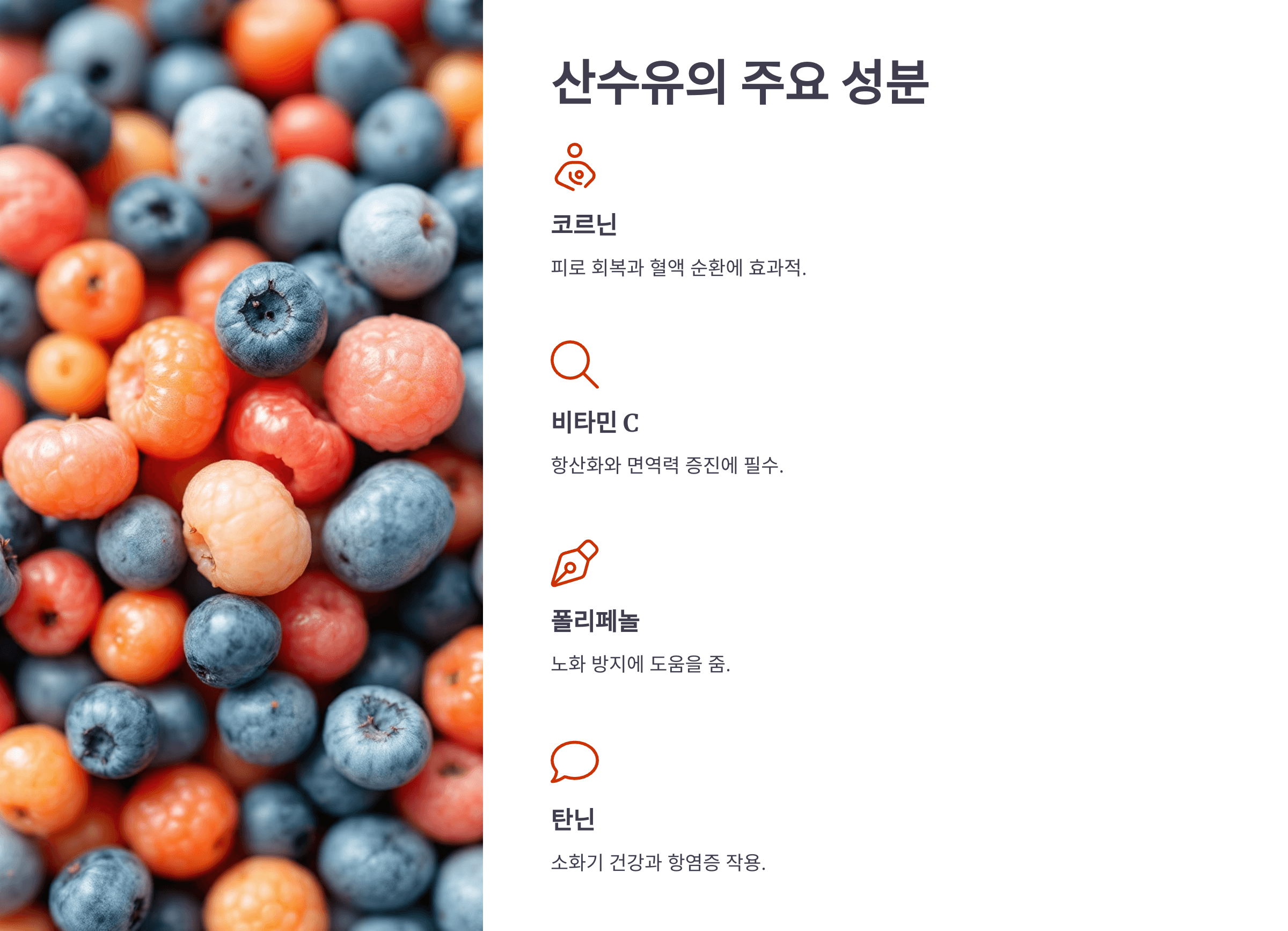 산수유 효능과 관련된 사진입니다.