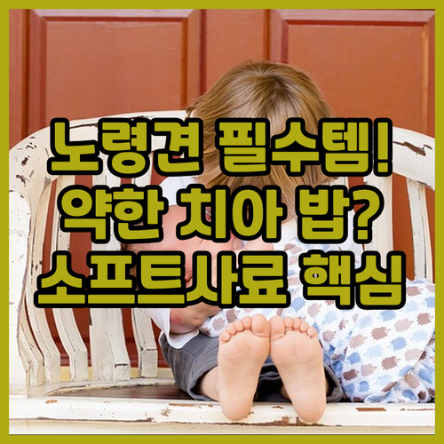 노령견 치아가 약한 강아지 필수 가수..