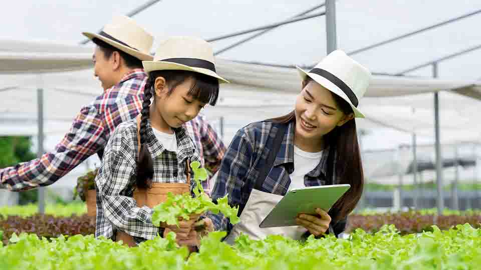센서 기반 농업의 한계와 보완점: 기술 신뢰성과 실전 적용의 간극