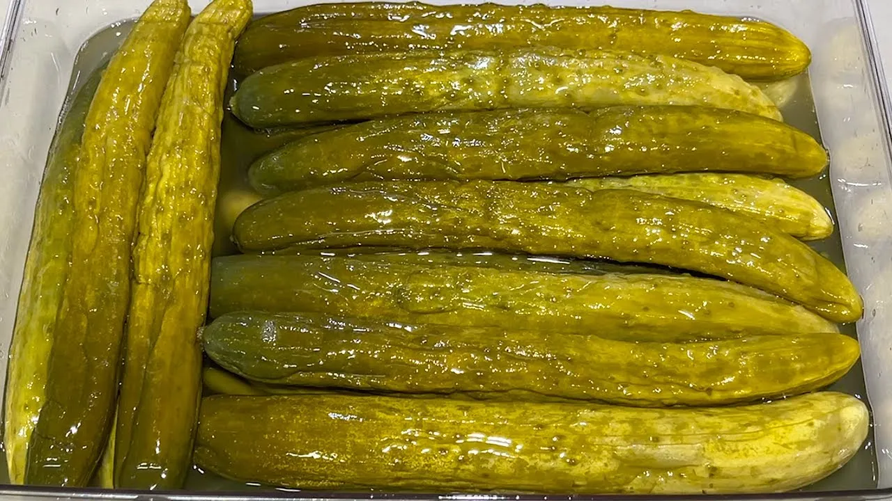 오이지 담그는 방법 오이소박이 황금 레시피_2