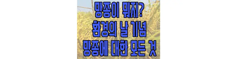 망종에 관한 글 썸네일
