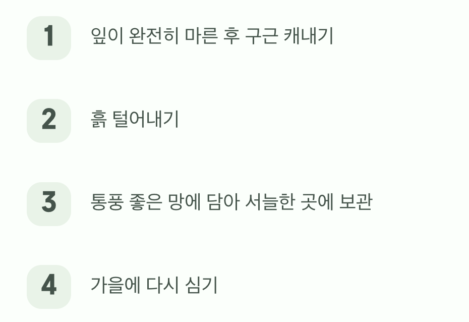 여름잠 재우기, 구근 보관법