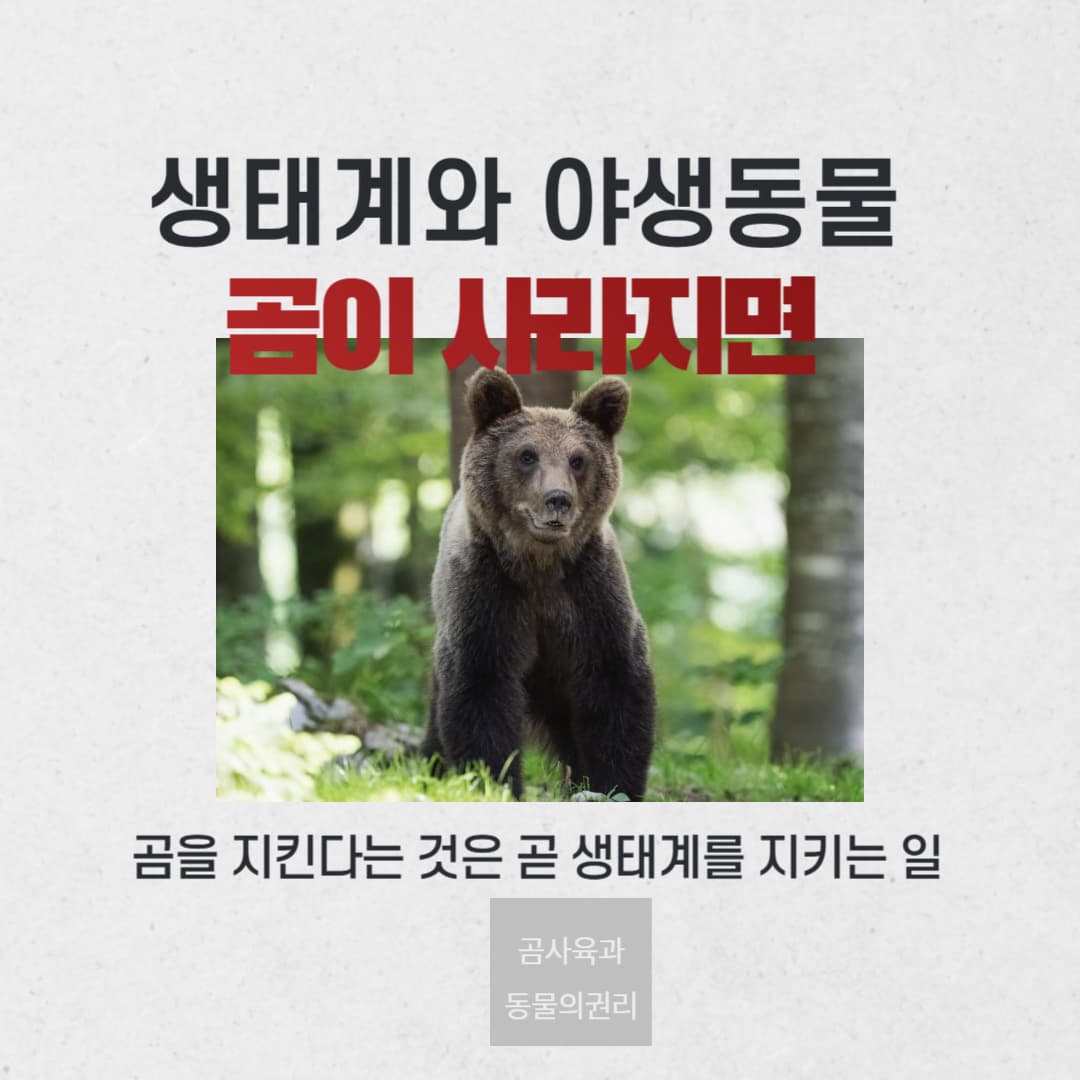 곰이 사라지면 생태계에 어떤 일이 벌어질까?