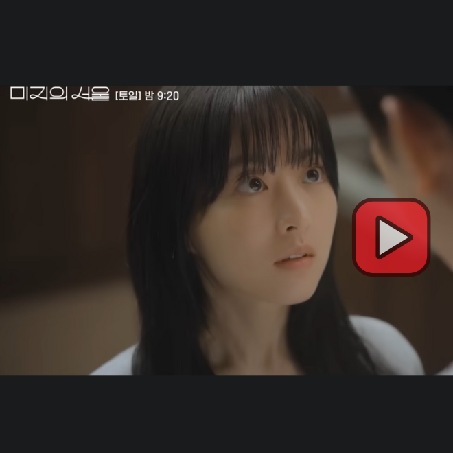 미지의 서울 결론