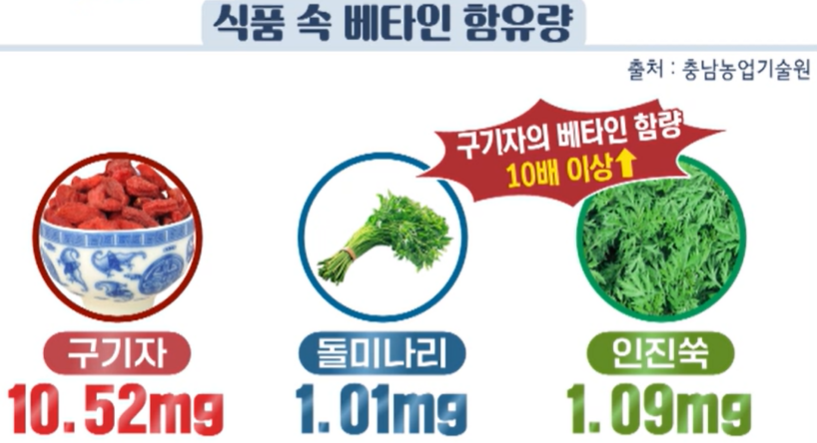 구기자 효능