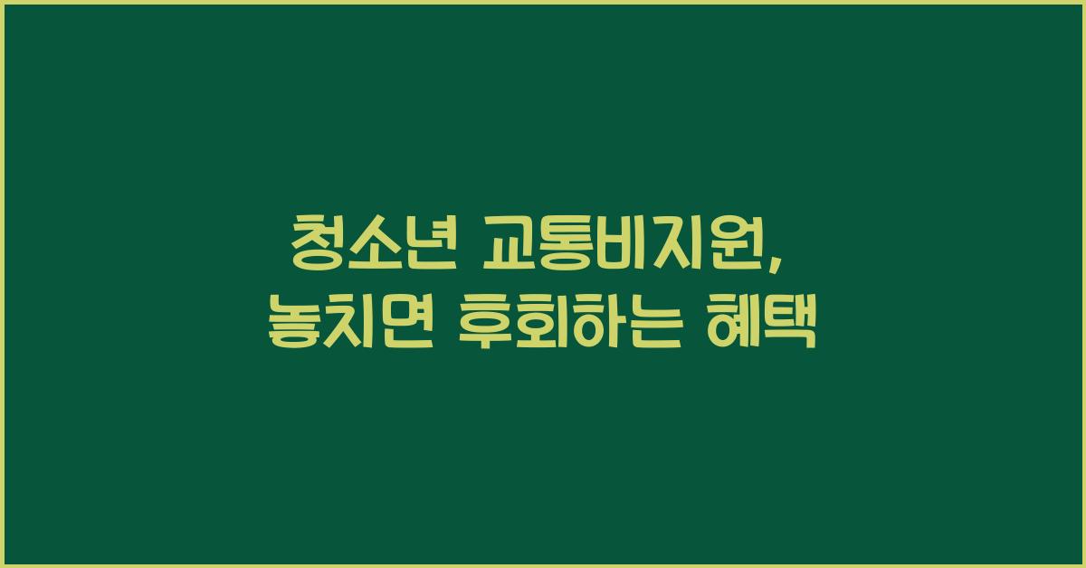 청소년 교통비지원