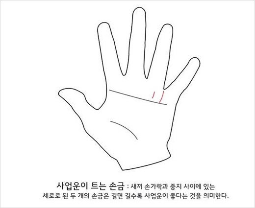 재미로 해보는 결혼점,손금 풀이 jpg,결혼하는 손금,이상형 성격 테스트 및 재미있는 테스트