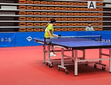 pingpong