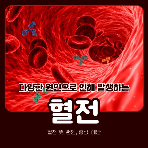 혈전, 일명 피떡