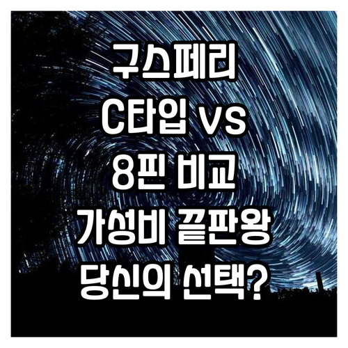 가성비 구스페리 이어폰 추천 C타입 ..