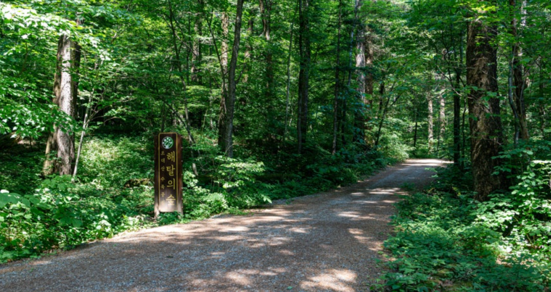 강원도 오대산 국립공원