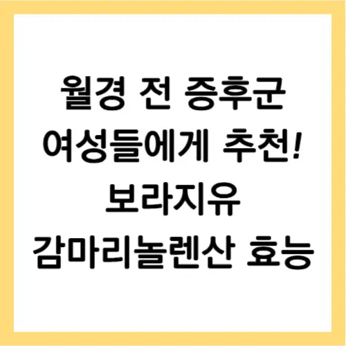 보라지유 효능