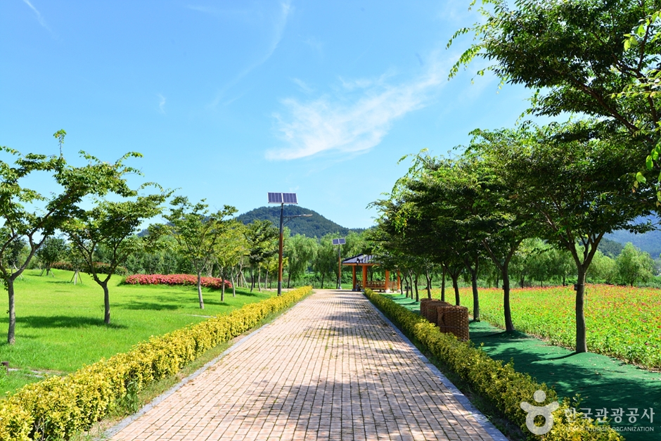 진도 가볼만한곳 베스트10