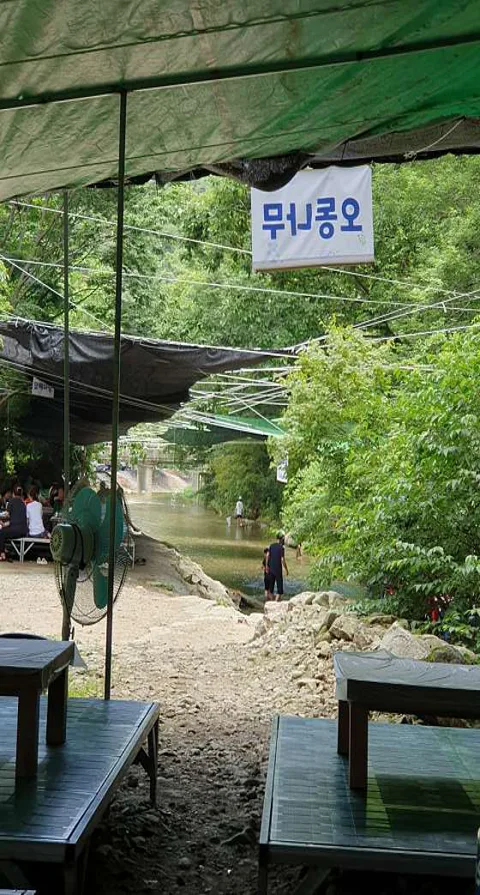 첫집