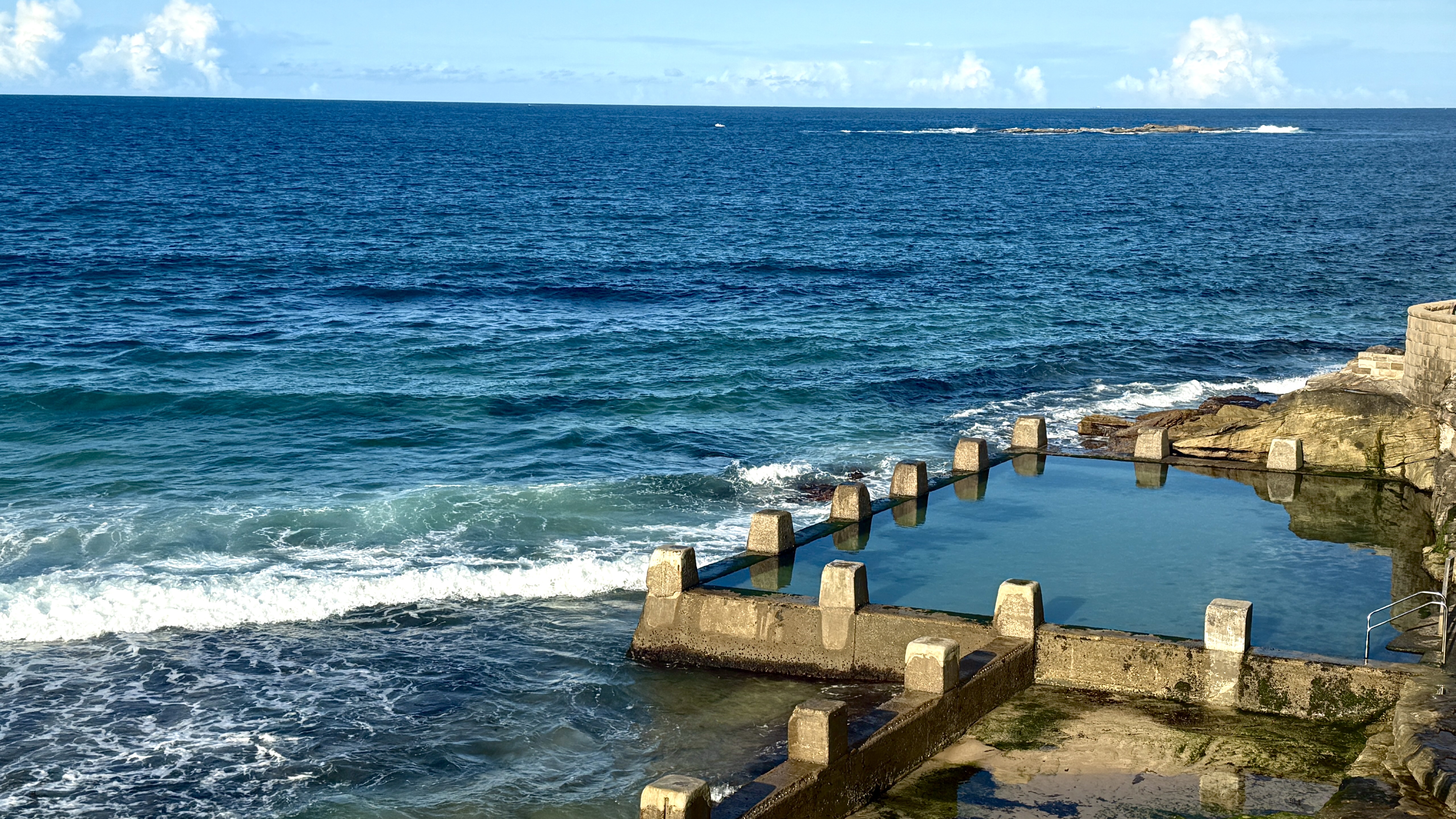 시드니 브론테비치 사진