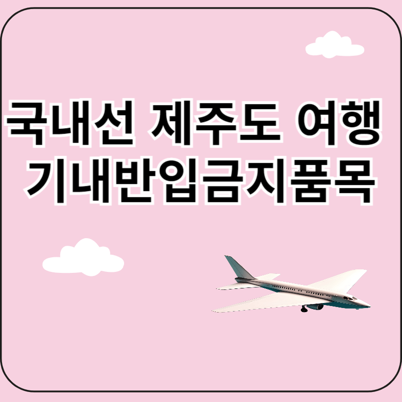 국내선 화장품 반입